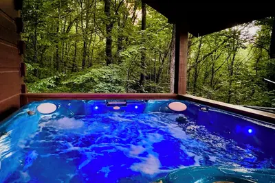 Image de Bear Foot Heaven\nCabin Retreat in Ga Mountains
