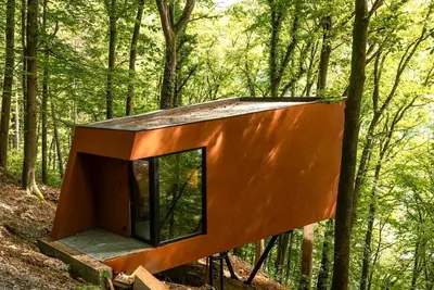 Image de Une cabane dans les arbres au cœur de La Roche