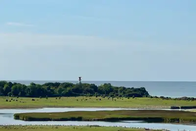 Image de Vacation apartment/apartment for 4 guests with 45m² in Heiligenhafen (297638)