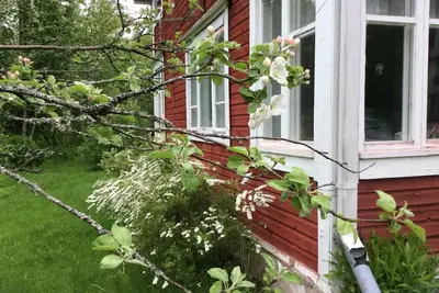 Image de A cosy little stockhouse_the archipelago of Maxmo