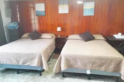 Image de 1 Comfy Dual: Convenience & Comfort Galore & 2 Nice and comfortable central apt