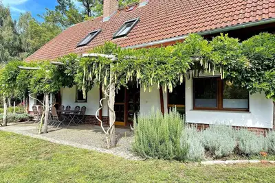 Image de Moss bed, Germany