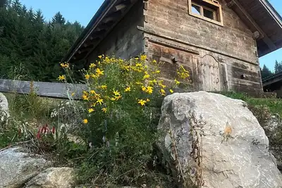 Image de Chalet « Mazot De La Pointe Percée » avec Balcon