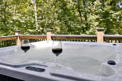 Image de New 4br Lakeview Cabin w/ Hot Tub, Game Room & Lake Beach on Douglas Lake