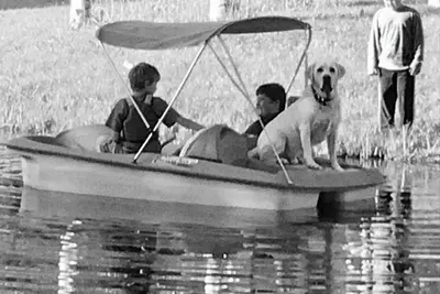 Image de Marvelous 1-bedroom cabin “Moose”in Ririe