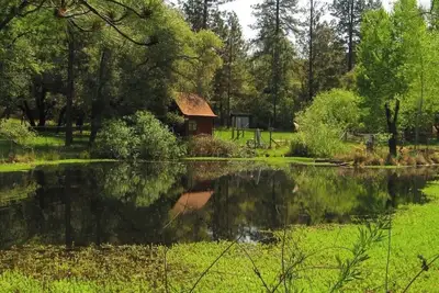 Image de Shangrila with view of wildlife pond above artist's studio in Rough and Ready