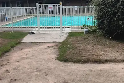 Image de L, orchidée