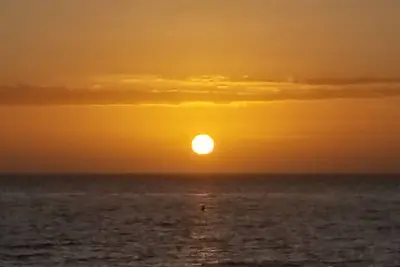 Image de Shell Island Beach Club - All new 2 bed / 2 bath condo with Beach and Gulf Views