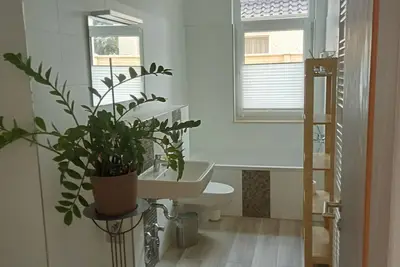 Image de Urban green 1