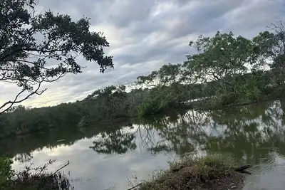 Image de Sunset views with Macaws in the jungle in beautiful Bajamar