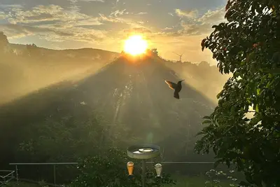 Image de Ressourcez-vous à la Villa Colibri, piscine vue sur la forêt & mer des Caraïbes!