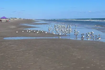 Image de Surfside Hideout - 2-Bedroom Getaway - Upgraded Mattress and Linens