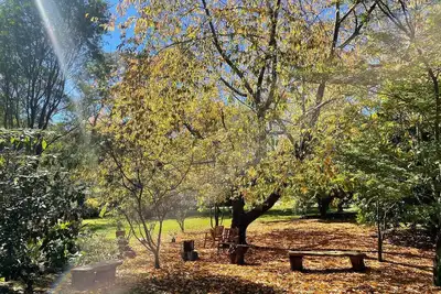 Image de Treetops Chalet - quiet relax bushland