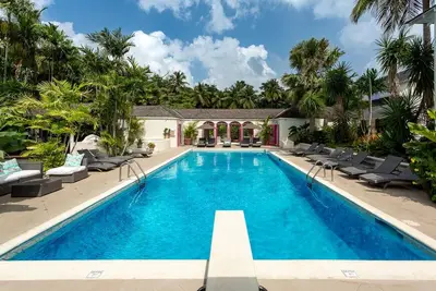 Image de Bon Vivant Summary:<br>F