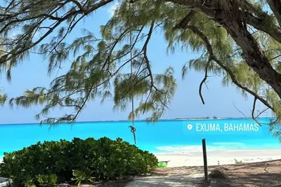 Image de “All Decked Out” steps from the Water Taxi