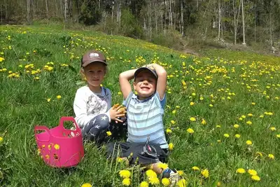 Image de Apartment Hang - Apartments Broger