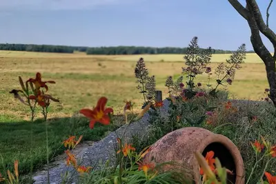 Image de Gîte grande capacité en champagne. Animaux de compagnie acceptés!