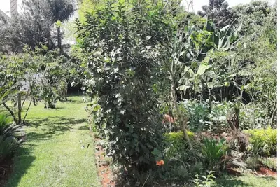 Image de Cozy 2 bedroom home in Roslyn Runda with Wi-Fi