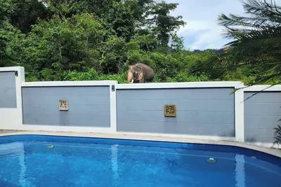 Image de Villa avec piscine privée et vue sur la montagne