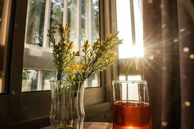 Image de Nov. Steal! Park-View Retreat & Daily Maadi Oasis