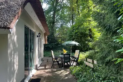 Image de Great Tit - Among The Trees!