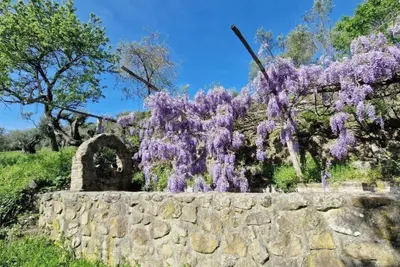Image de La Terza - Superior Triple Room - Organic Garden View
