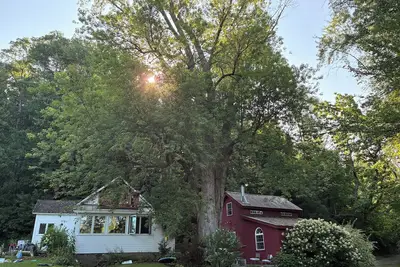 Image de Remote romantic Vermont hideaway. Long term rentals preferred.