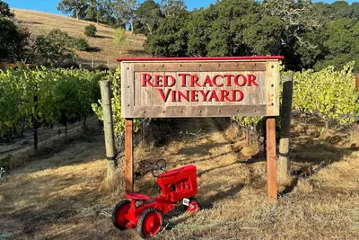 Image de Private single-level 3 Bedroom Napa vineyard home minutes from Downtown!