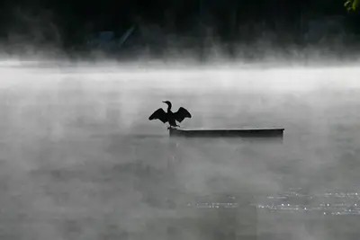 Image de Delightful 2-bedroom cabin in Warwick