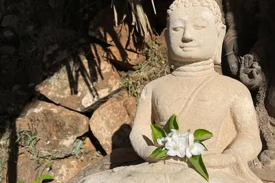 Image de The4elements Monda