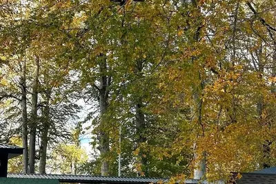 Image de Enchanting bungalow with Ac in Ordu