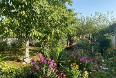 Image de Brilliant 3-bedroom apartment in Chalistavi