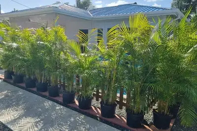 Image de Maison familiale avec piscine privée - Vacances en Guadeloupe
