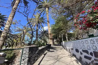 Image de Lonja 2