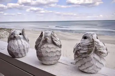 Image de Three Little Birds - Oceanfront Condo with Private Decks and Community Pools. Mu