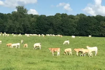 Image de Ferme de Sorval – Vivez la magie de la campagne des Hauts-de-France