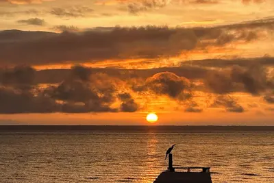 Image de Sleepy Oak Cottage nestled on Lake George