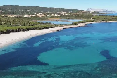 Image de Three-room apartment in Budoni vistamare only 1500 mt from beaches 10% discount new profile