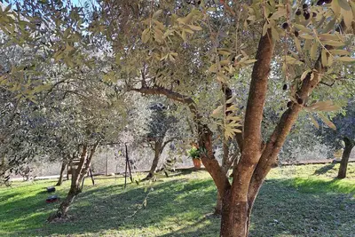 Image de Nico's Nest 5 minutes from Caglieron Caves at the foot of Cansiglio forest