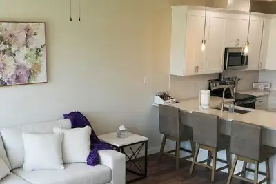 Image de New 2025 Luxury Townhome Next to Tarleton State