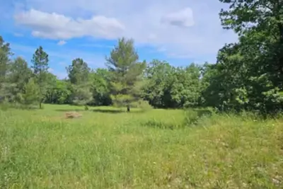 Image de Bas De Villa Au Sein De Parc ARBORÉ, En Pleine Nature