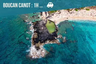 Image de T2 Fleur de Lotus, vue sur l'océan