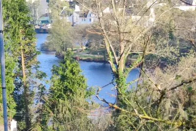 Image de Oasis des arbres. terrasse en canopée
