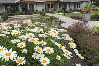 Image de Lady on the Lake - Modern Cottages with Private Dock, Lake & Mountain Views in Essex, New York