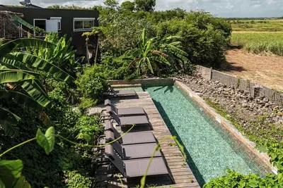Image de Panorama exceptionnel sur les champs de canne et les reliefs de Basse-Terre