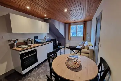 Image de T2 mansardé en centre-ville, Le Monne