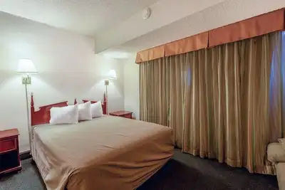 Image de Pet-Friendly Space w/ Hairdryer, Iron & Essentials For Stress-Free Travels