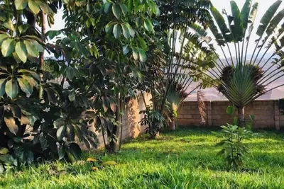 Image de Calm Chaos D1