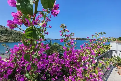 Image de Maison de vacances près de la mer