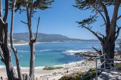 Image de Honeybee - Carmel Home - What's the Buzz?